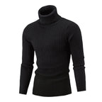 Turtleneck Ribbed Timeless Sweater