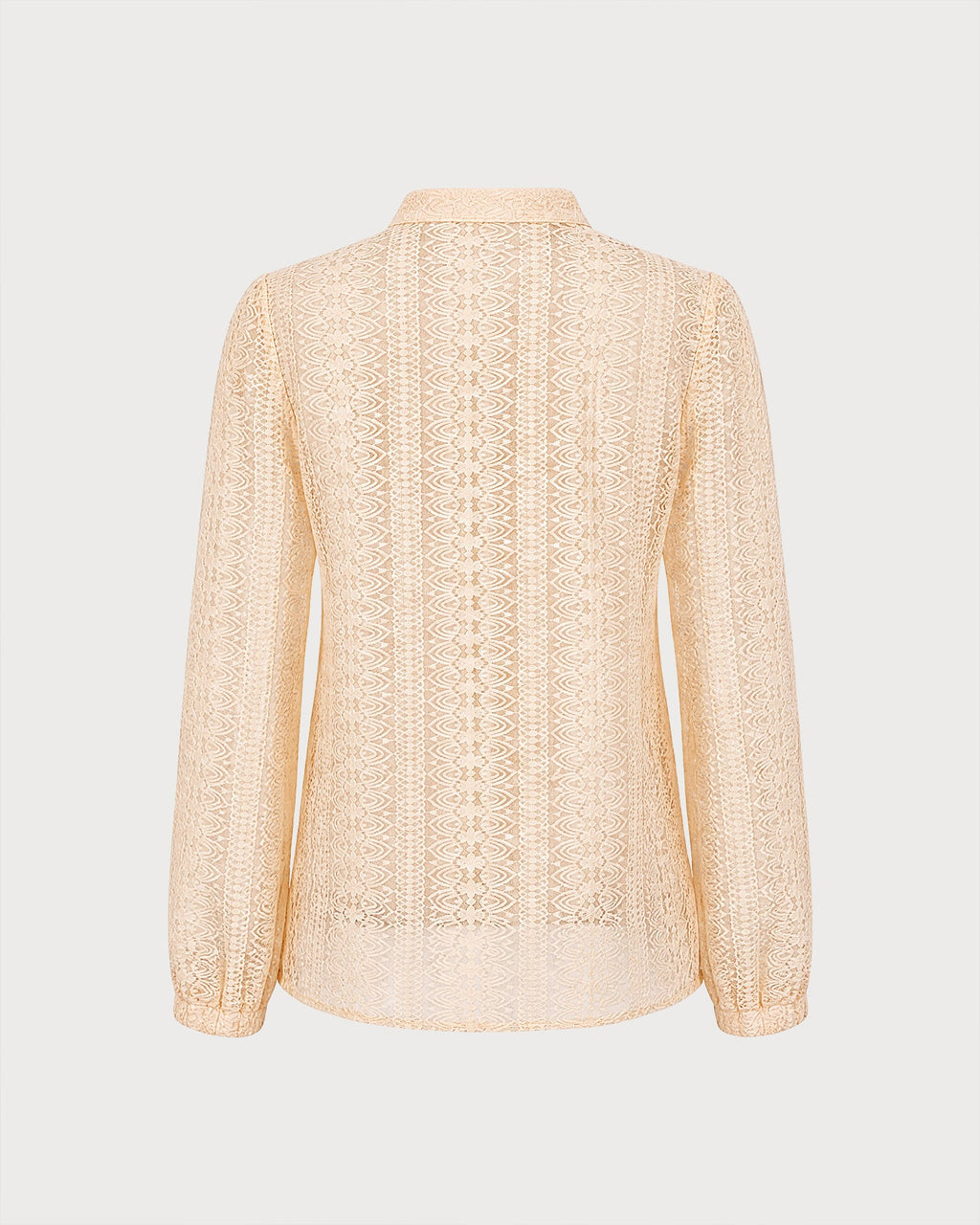 Apricot Turtle See Through Textured Shirt