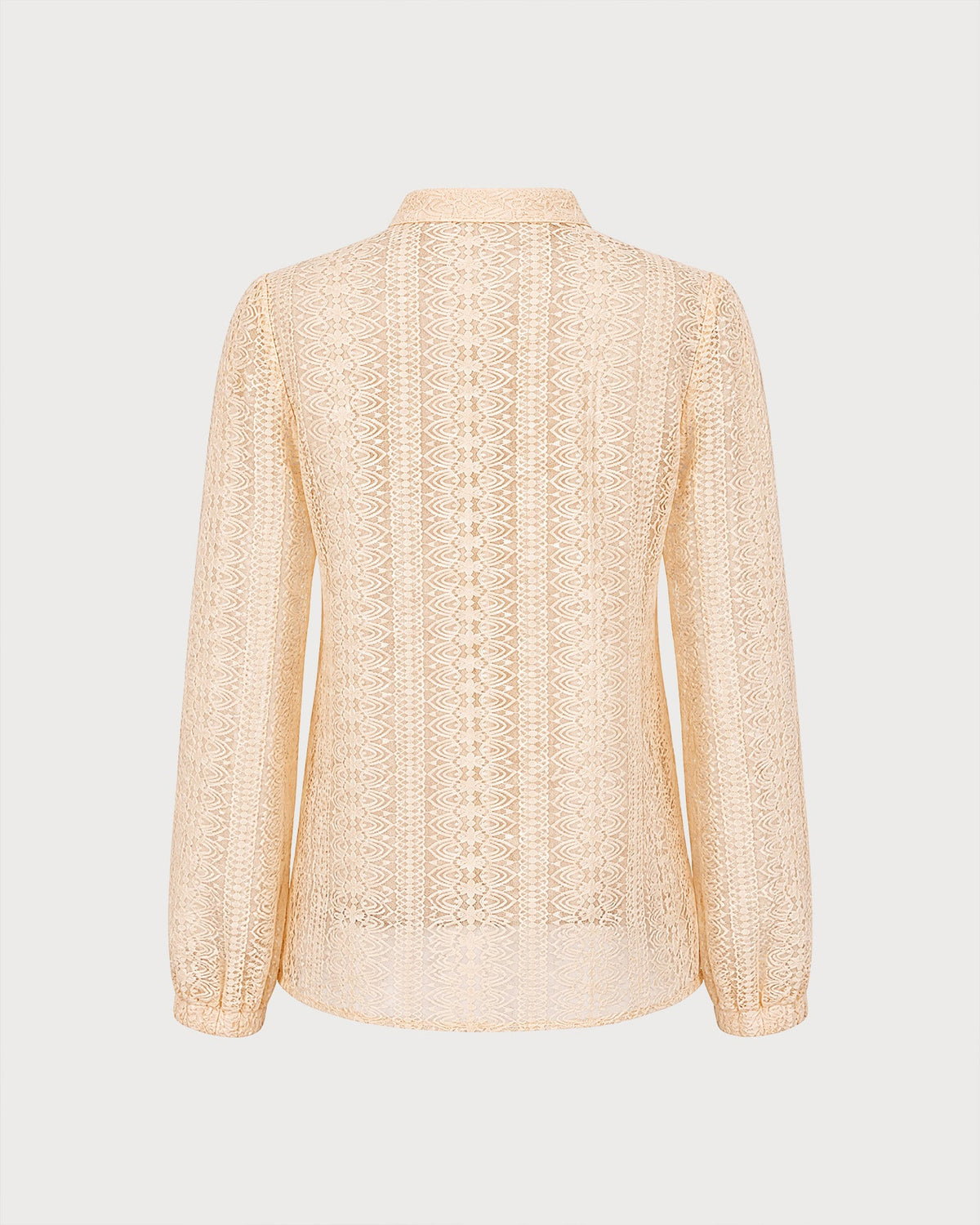Apricot Turtle See Through Textured Shirt